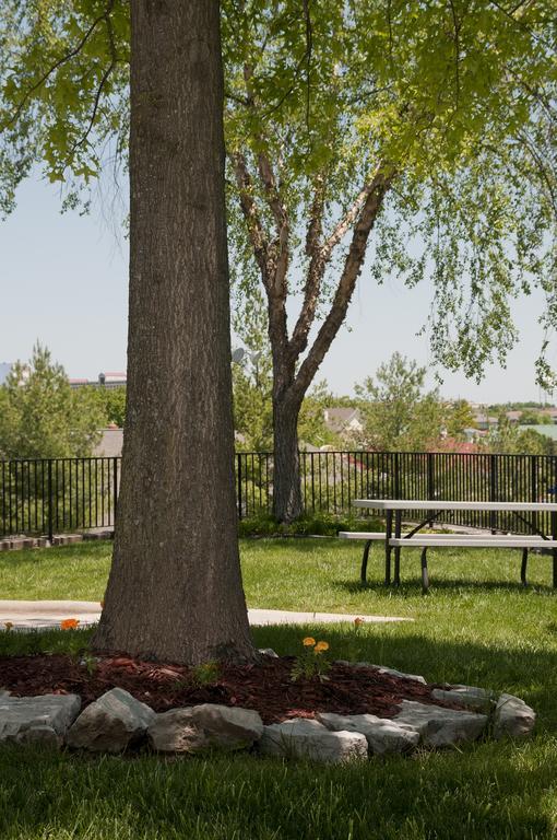 The Stone Castle Hotel & Conference Center Branson Exterior photo